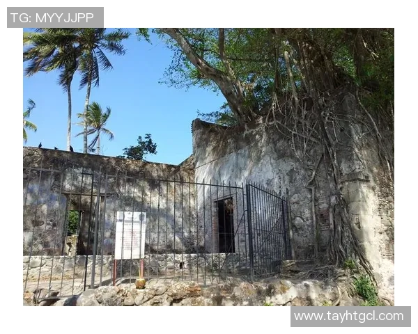 吴静分享攀岩心得与技巧探讨助你轻松征服高峰之路